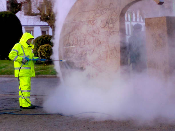 Best Roof Power Washing Services  in Des Plaines, IL